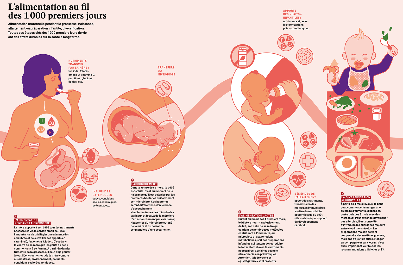 infographie 1 000 premiers jours BIS copie.jpg infographie 1 000 premiers jours BIS copie.jpg