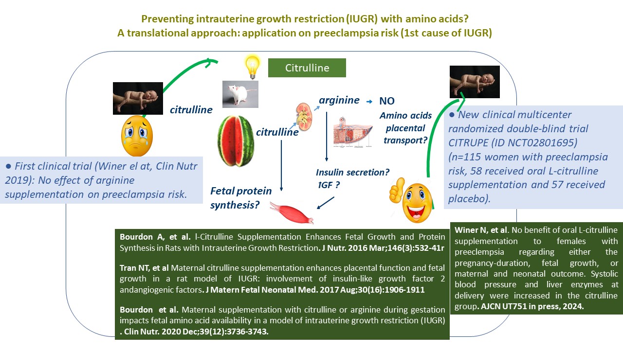 graphical abstract CITRUPE